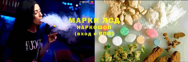 дживик Майский