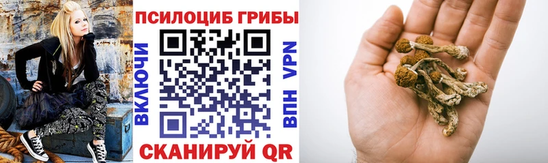 Галлюциногенные грибы ЛСД  Жуков 